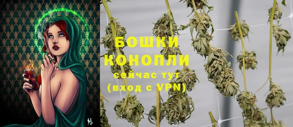 крисы Верея