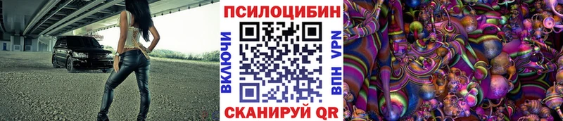 Галлюциногенные грибы Psilocybe  Купить закладки  Хилок 